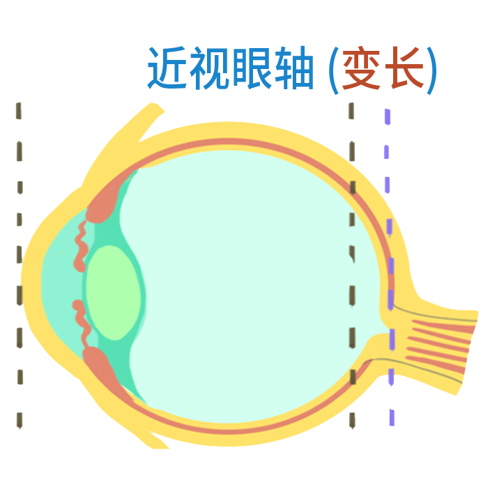 a15c17de075543d69b9be284eb6ee9e6.png