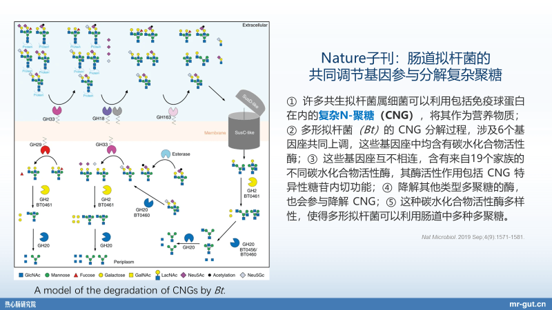 产业|热心肠先生：23分钟详解血糖、碳水化合物与菌群前沿进展
