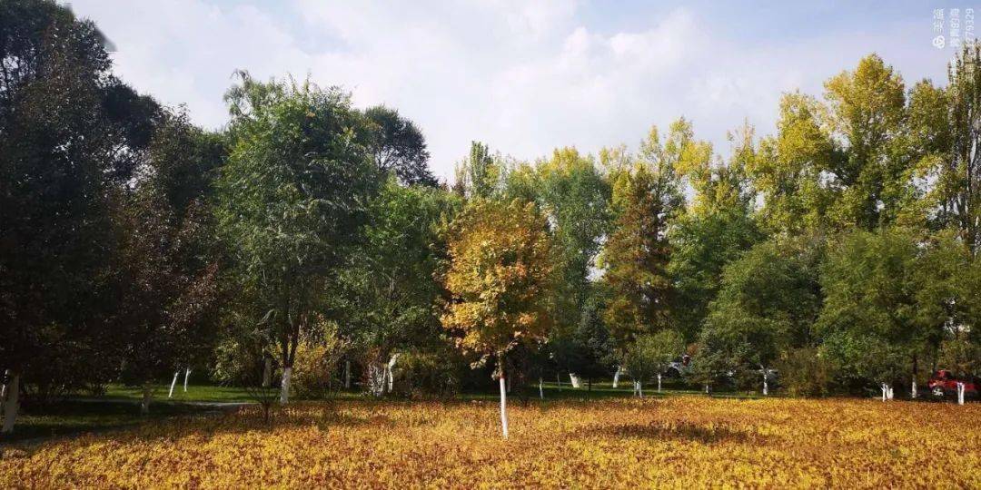 2020年青海高中排名_2020年青海高校满意度排名初现!快为你的母校打cal