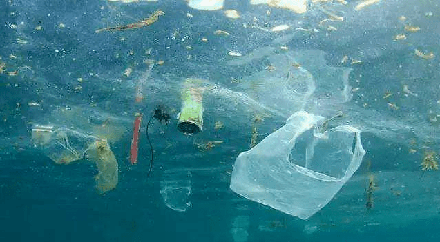 2020-11-03 21:00 来源:环境保护 海洋塑料垃圾污染问题日益引起