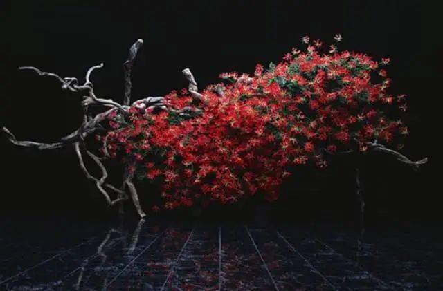 草月流：花道是活着的雕塑_搜狐网
