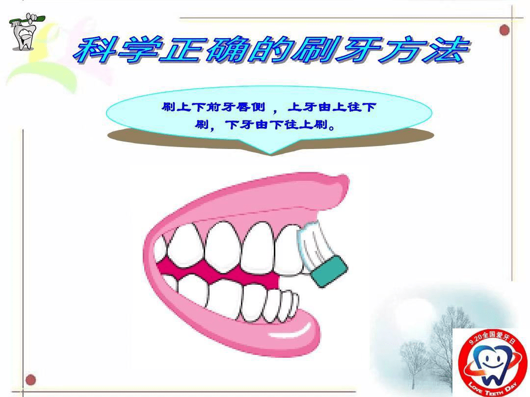 口腔健康是人类文明的标志,我们要学会科学正确的刷牙方法