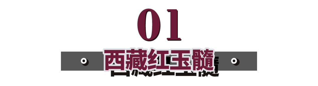 翡翠|一凡：玉髓真的不如翡翠？它的6位“贵族”，一般人还买不起……
