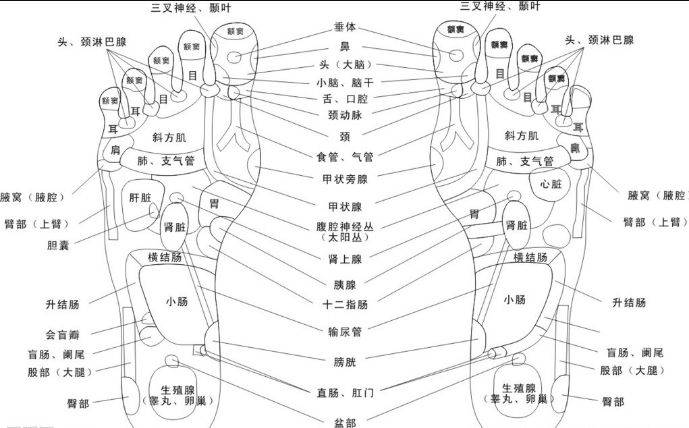 脚是人体"第二大脑",看一看就能知道身体好不好?