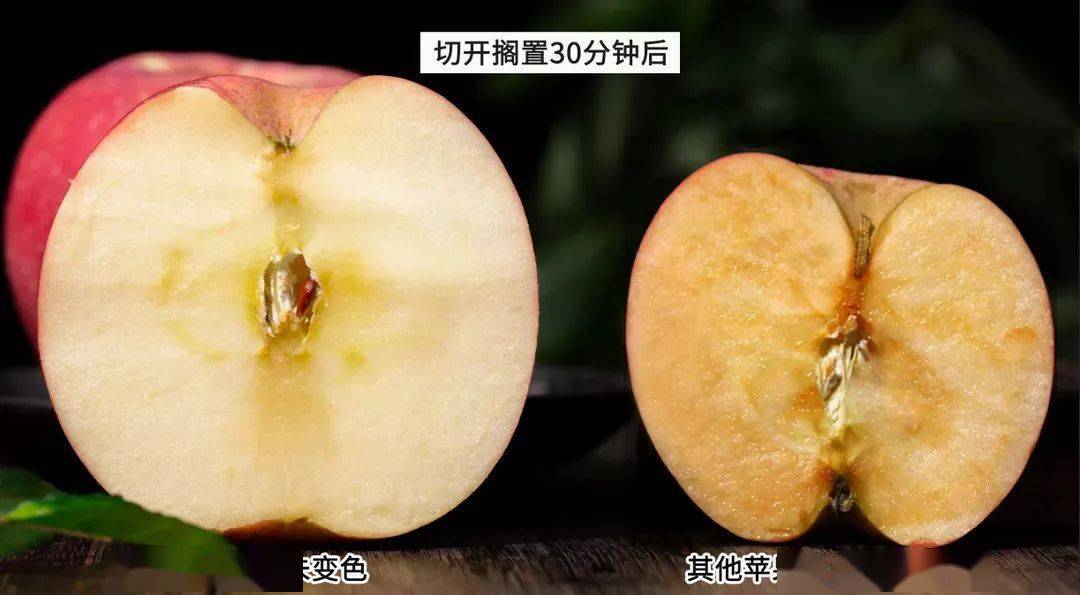 日本天价水果上热搜苹果100元一个中国匠人不服花了6年时间独创功夫