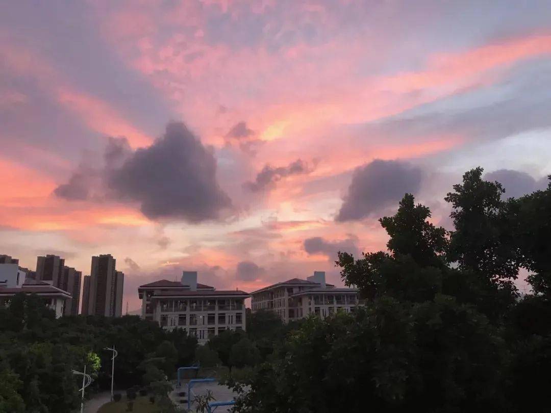这里是广东医科大学!_湛江