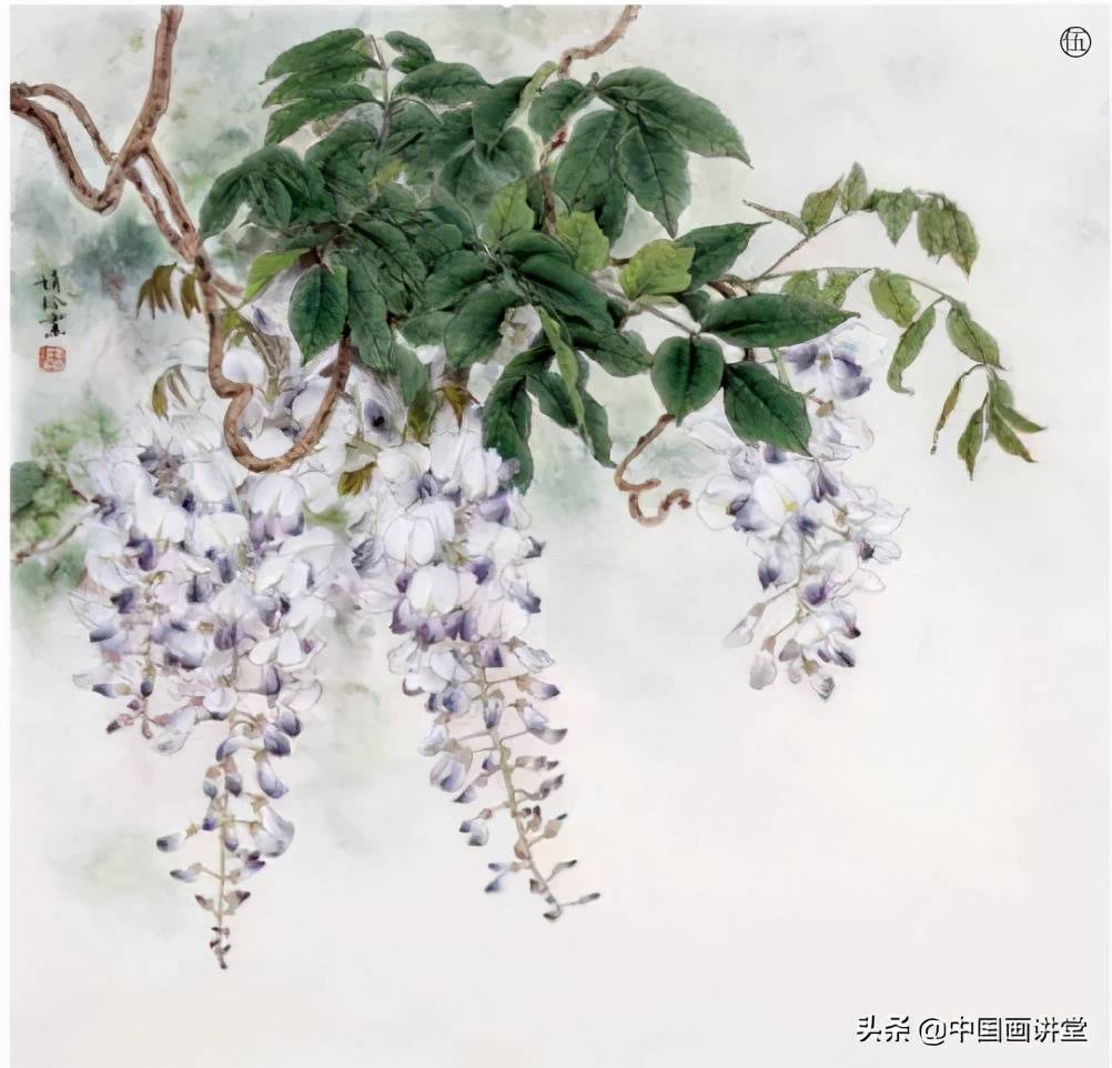 图文教程:工笔杏花,紫藤画法