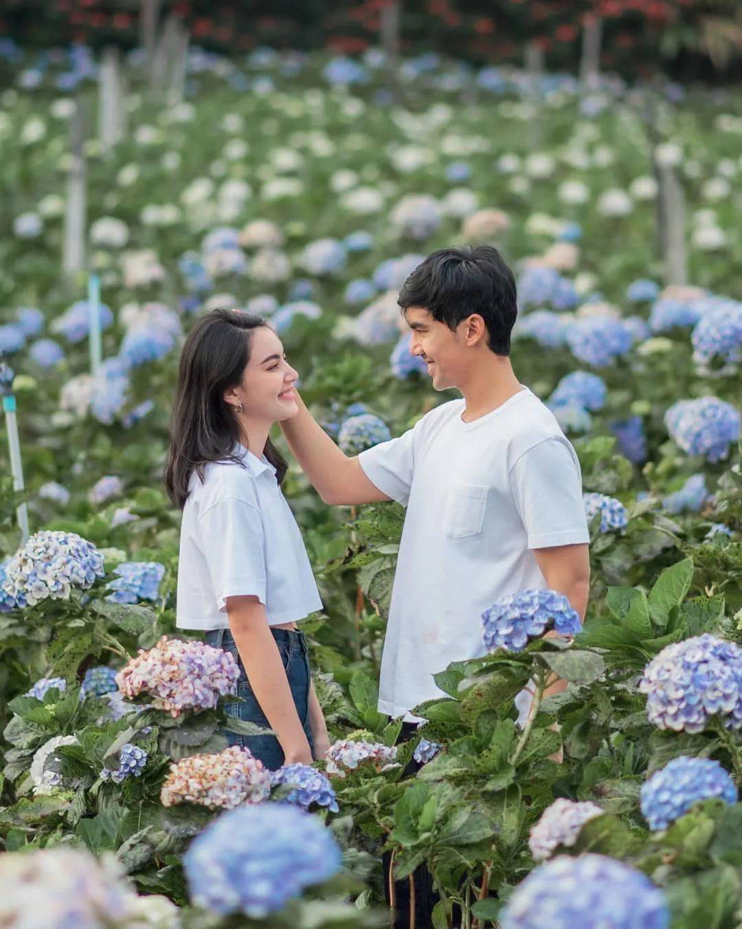 Aum|瞧！仙女出没啦~众女星在花田出没，宛如仙女下凡，漂亮石锤了！