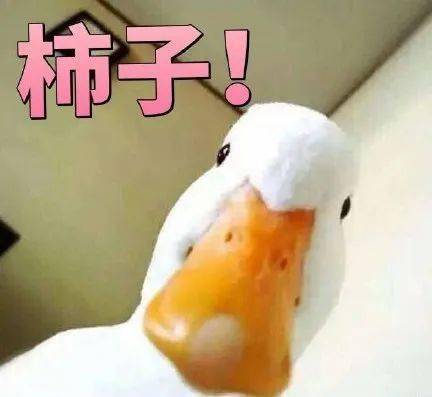 9d3bf22d5ed44345a3ddd87577a5eb31.jpeg