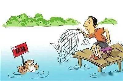 禁止!严格销毁!_捕捞