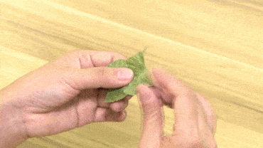 9f2462b6f4a94e95a981a26f6cf4c86d.gif