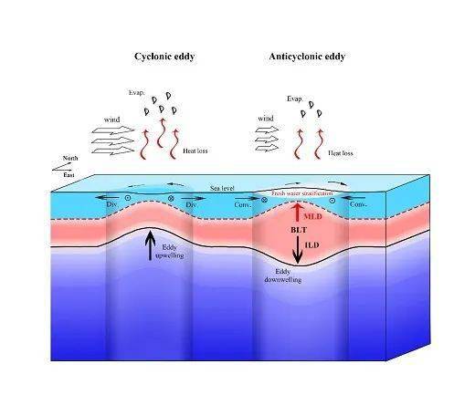 研究团队发现反气旋涡也会造成海表降温