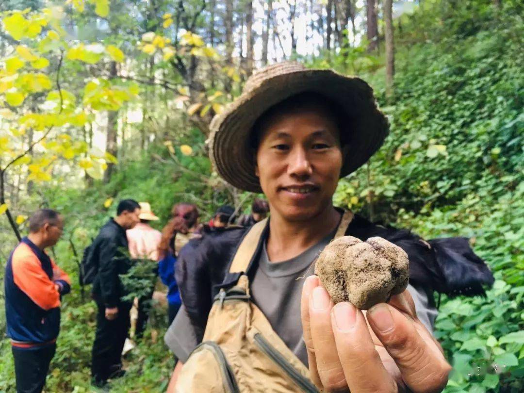 2019年【立冬,闻香采松露】活动花絮_手机搜狐网