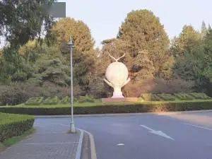 一起来探寻属于njfuers的宝藏吧_南京林业大学