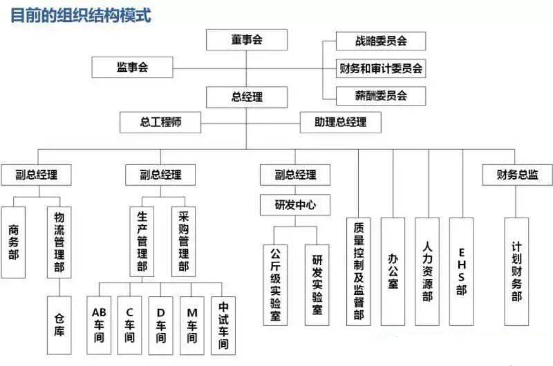 【项目纪实】某化工企业组织结构优化与运营模式调整纪实