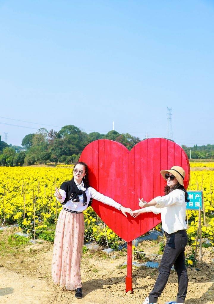 在这片乡村里乘热气球、体验当地首届乡村旅游节_沙坪