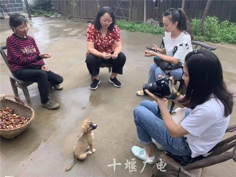 △十堰广电记者耿吉国在 顾家岗纸坊沟,拍摄采访两位住在大山里的老