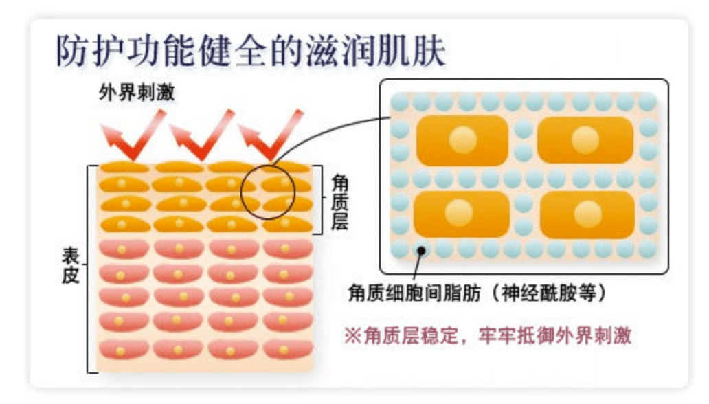 大人身上起红疹怎么办