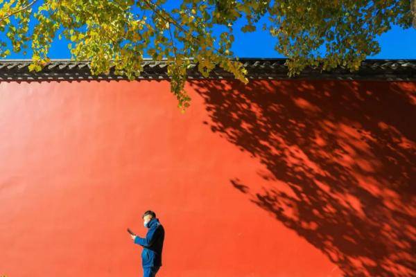 王宫|沈阳这个遗址，尘封百年！免费参观！