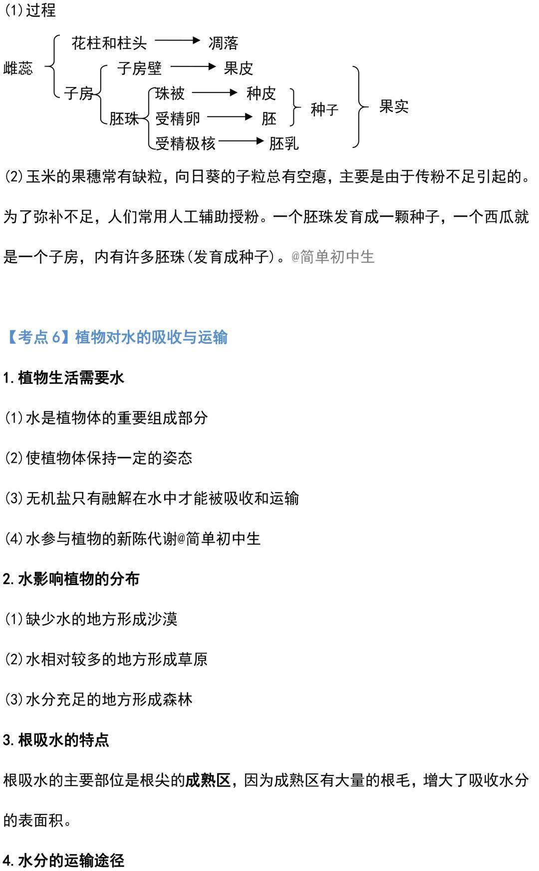 47d9623303214d8e93cca6deae80dcc3.jpeg
