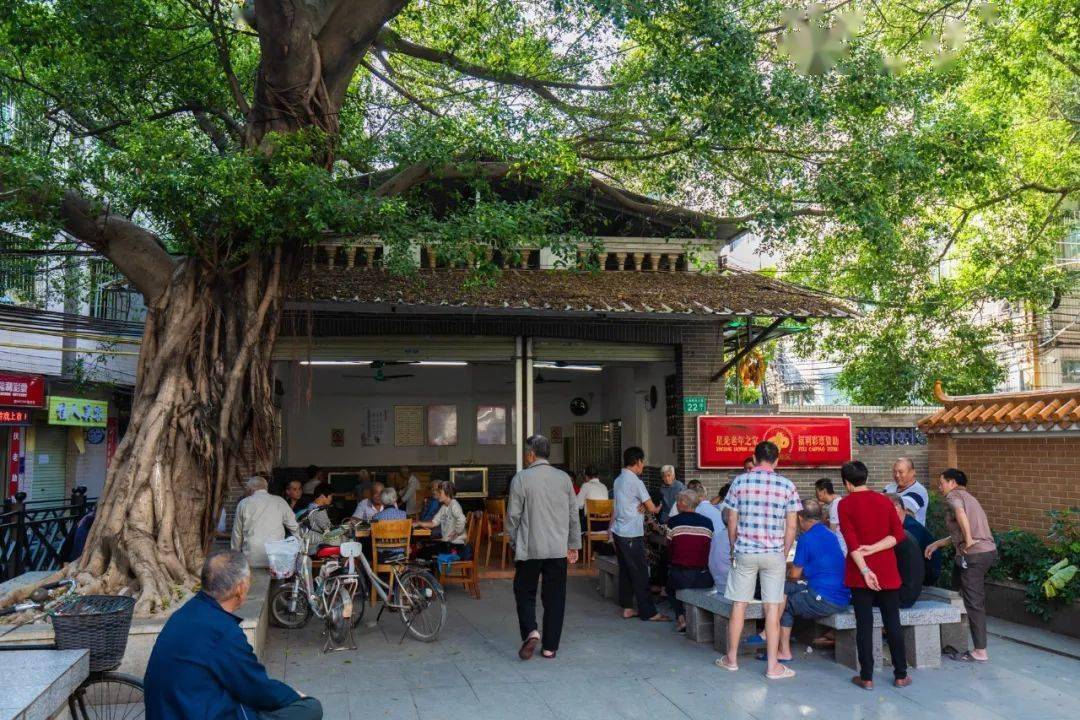 陶瓷|小洲村，还是老样子！