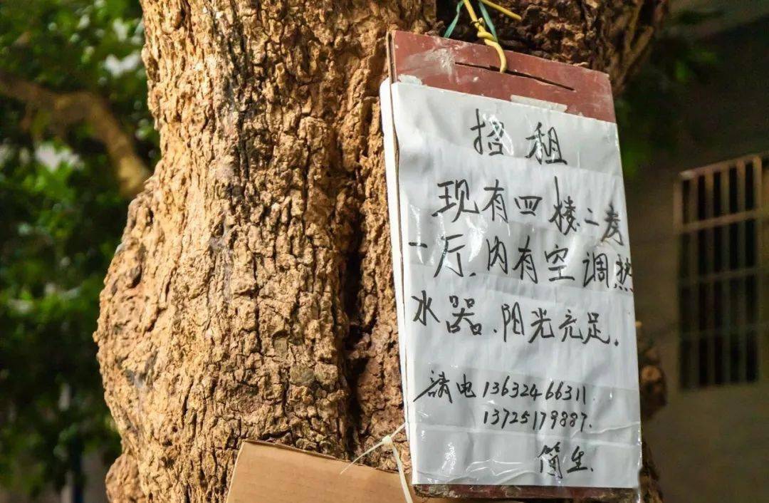 陶瓷|小洲村，还是老样子！