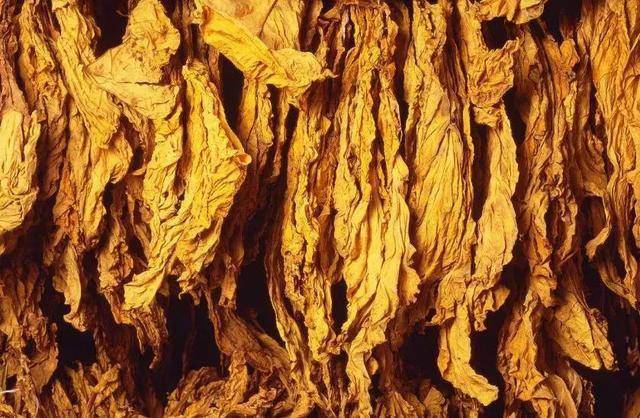 据史载,"茅台烟丝"是自清乾隆以来贵州民间最顶级的手工烟丝.