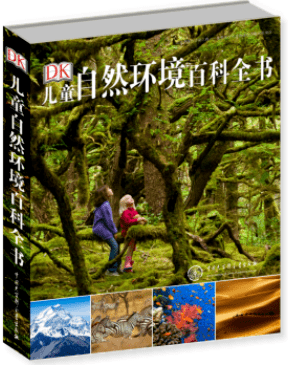 文章配图-167