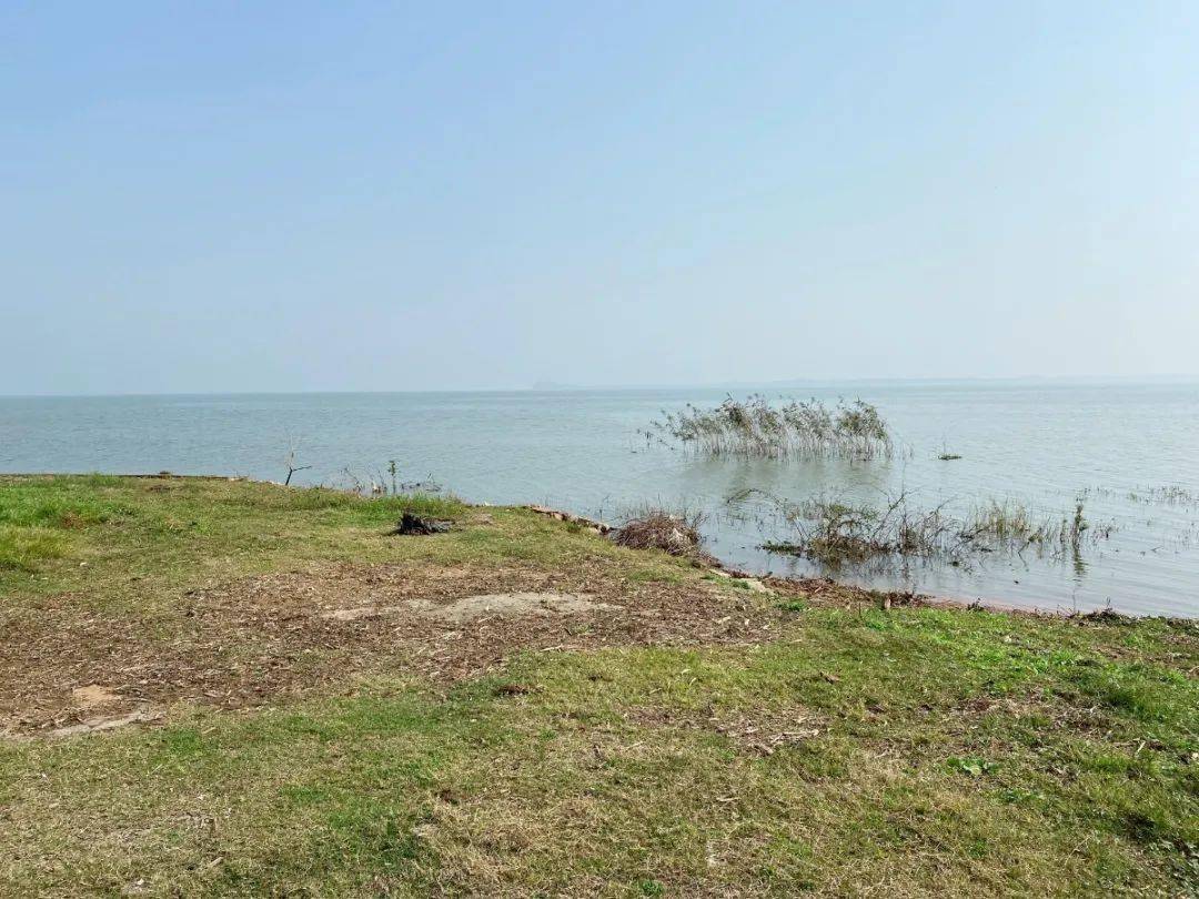 随手一拍都是美景 3b8ad25b276e436ab05561d51c9e0eaf.jpeg