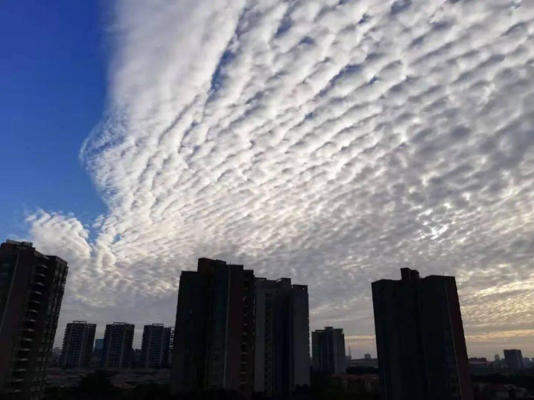 今天,东莞上空出现鱼鳞云!预示着