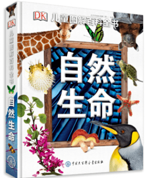 文章配图-168