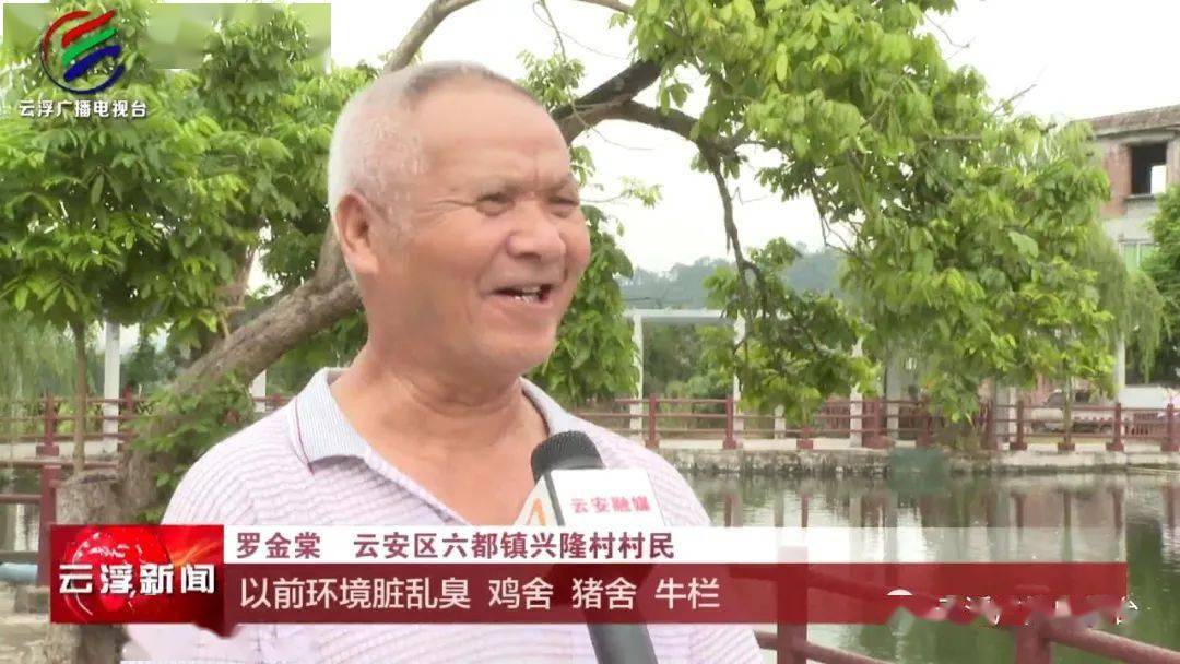 走进云安区六都镇庆丰村兴隆村,在干净整洁的蜿蜒村道和田野之间,"小