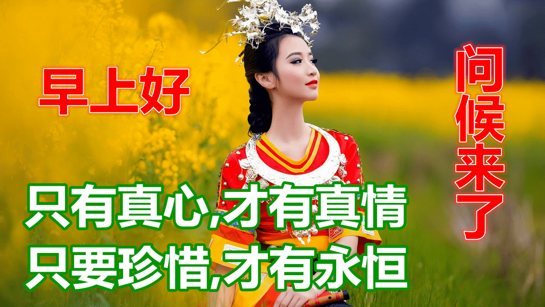 11月11日鲜花早上好美图大全,美丽的早上好问候,早安吉祥!