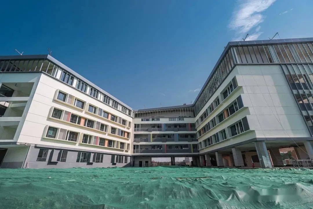 武汉武湖小学报名(湖北武汉小学报名网上怎么报)