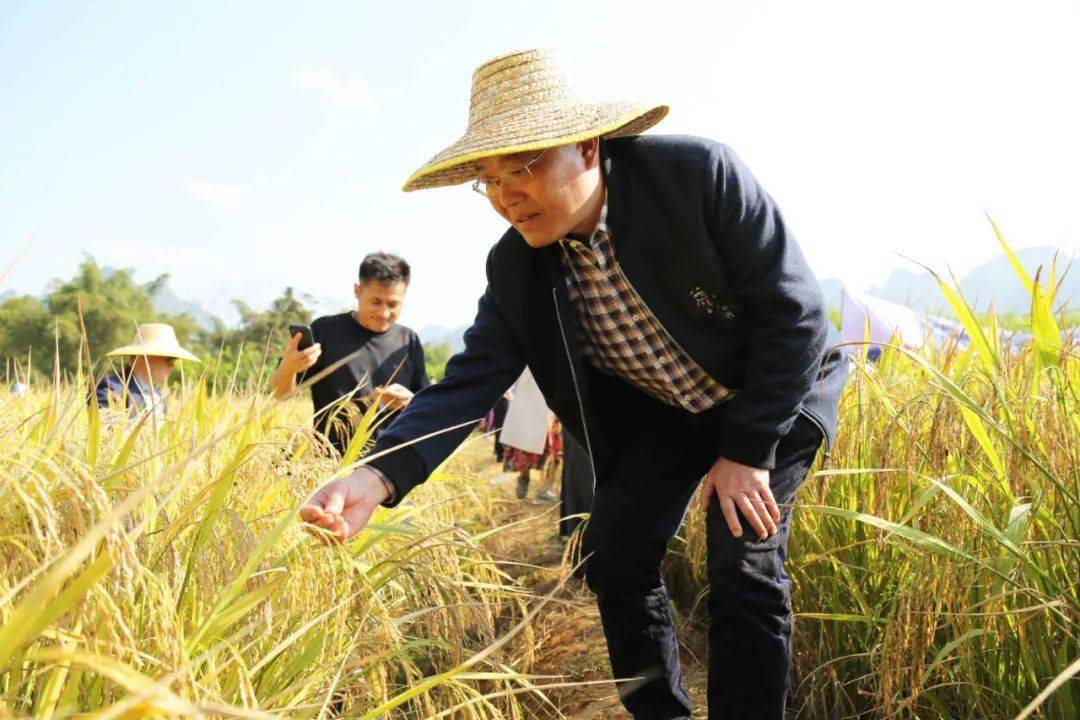 拔贡镇人口_六甲拔贡八圩地图(3)