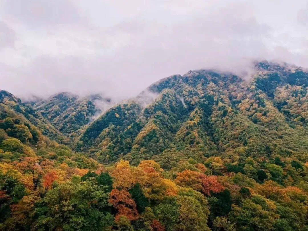 朱军【汉江诗歌】光和雾的山水