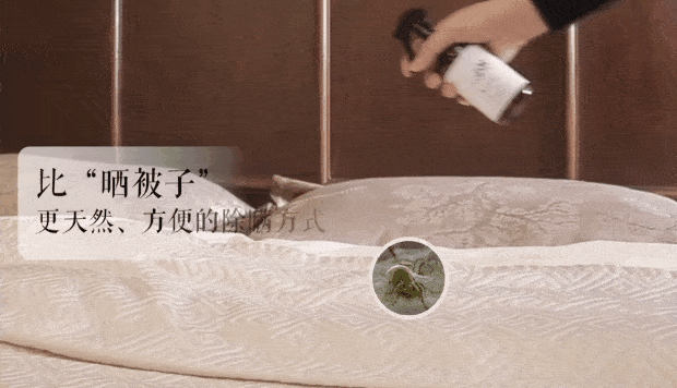 史上最强除螨喷雾家里喷点它让螨虫死翘翘比太阳暴晒强