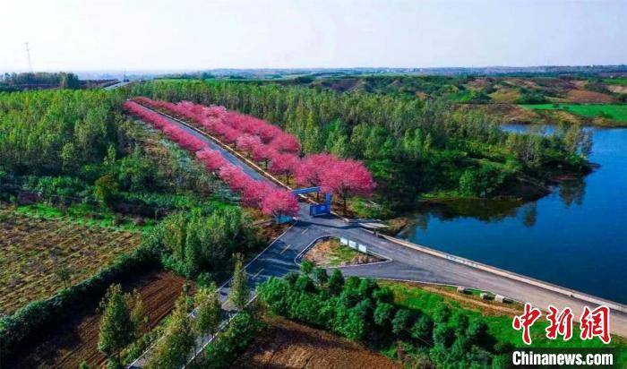 襄阳樊城"一号公路"效果图.受访单位提供
