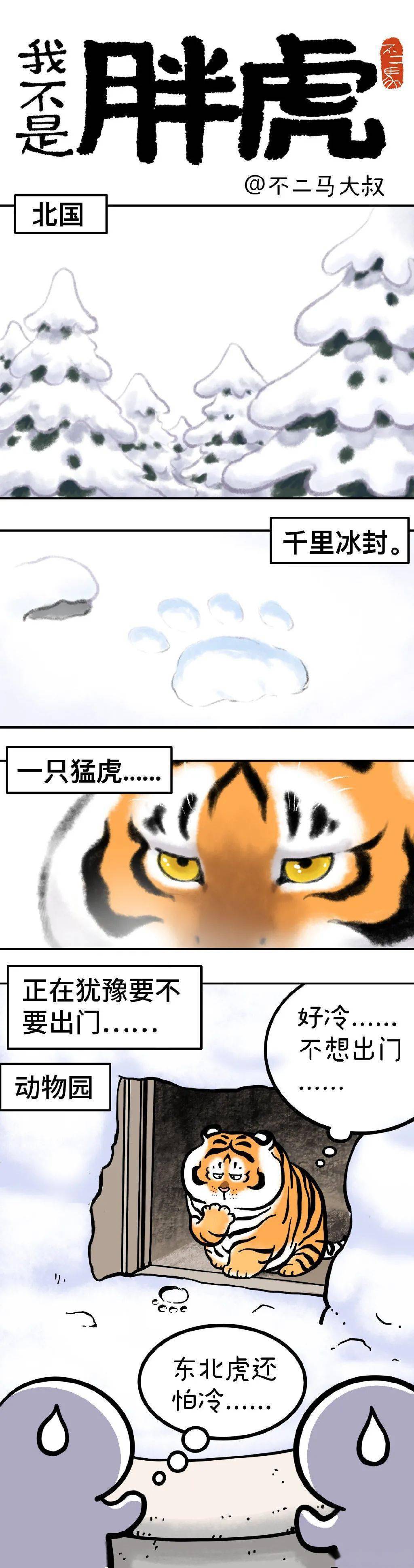 ▼但却是一只怕冷的东北虎这虎在大叔笔下虽然一身膘下面的短漫画你们
