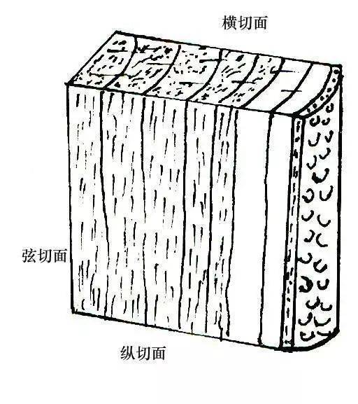 手机搜狐网