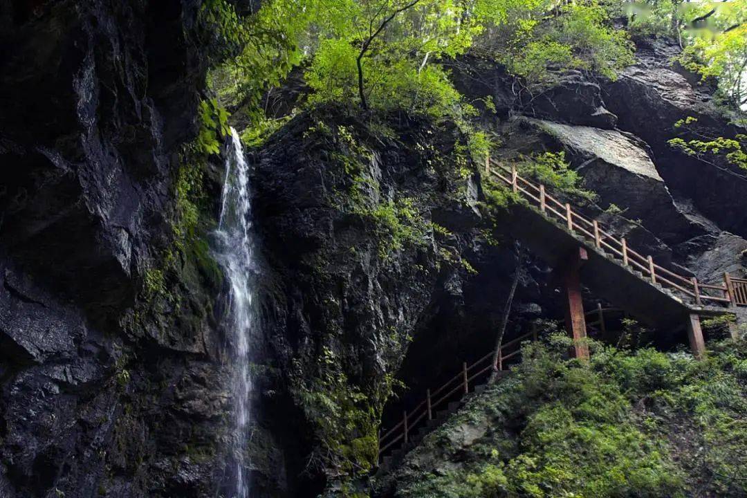 五龙洞国家森林公园,是国家aaaa级旅游景区,位于略阳县城北部48公里