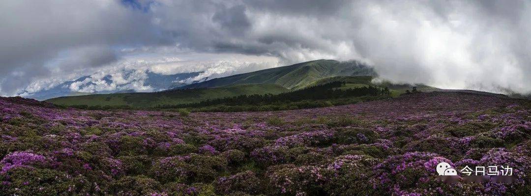 有一座以"风"命名的美丽圣山——四川马边大风顶国家级自然保护区