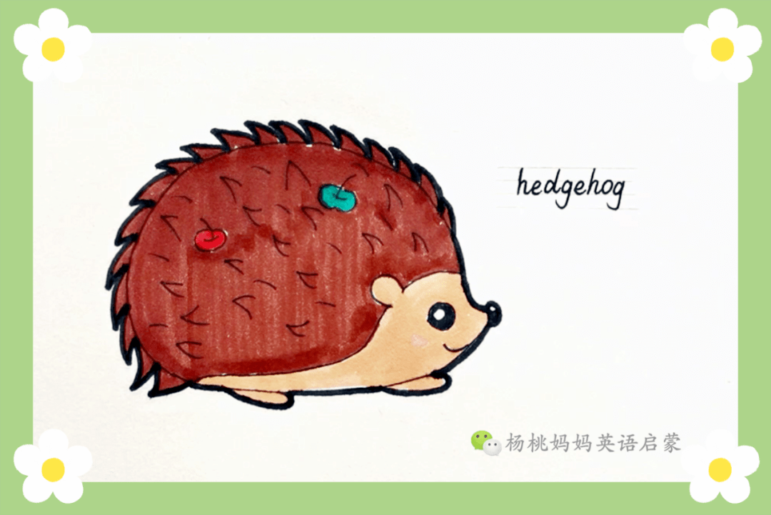 英语萌萌画 | hedgehog 刺猬