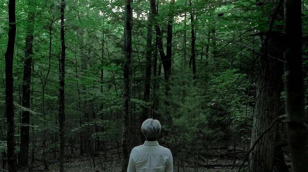 时间|我喜欢的时间：日间与夜晚的美妙之事