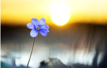 如何让自己有个好归宿 79a2ef1ad611416fb1df385bcb393b6f.png