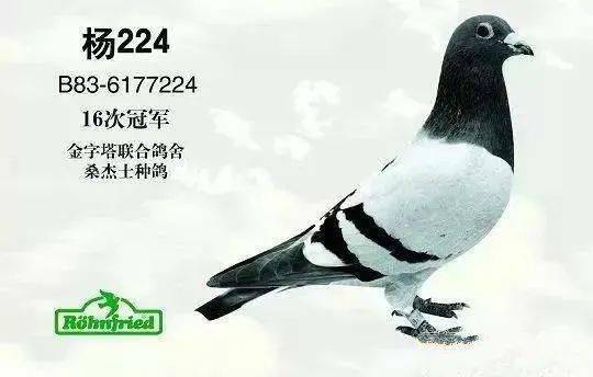 cd6c2e395cdb42c298f901e045c25a93.jpeg