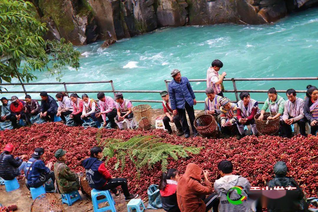 人均gdp贡山_高黎贡山(2)