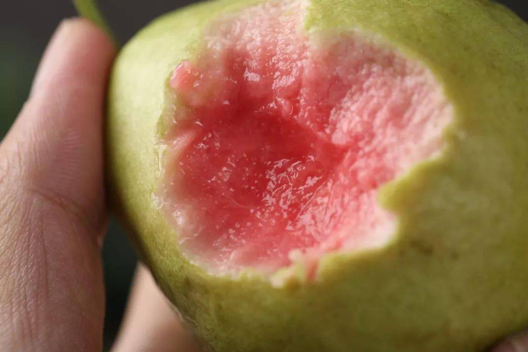 三高人群吃什么水果最合适 05f5e056fef649068b3852226a0913f5.jpeg