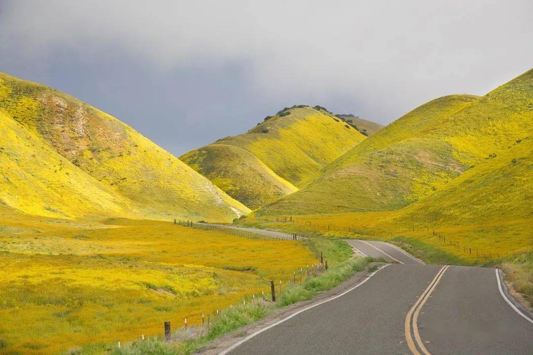 特点|详解5个焦段的24个特点,找到满意定焦头