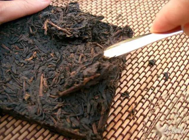 黑茶长虫还能喝吗_茶虫